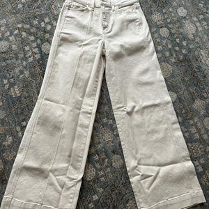 AYR Top Floor Wide Leg Jeans sz. 24P